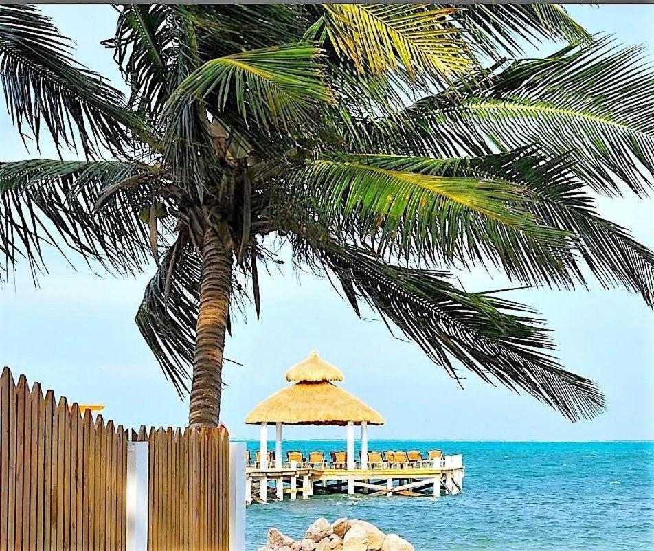 Velento Partial Ocean View Penthouse #7 Villa Caye Caulker Luaran gambar